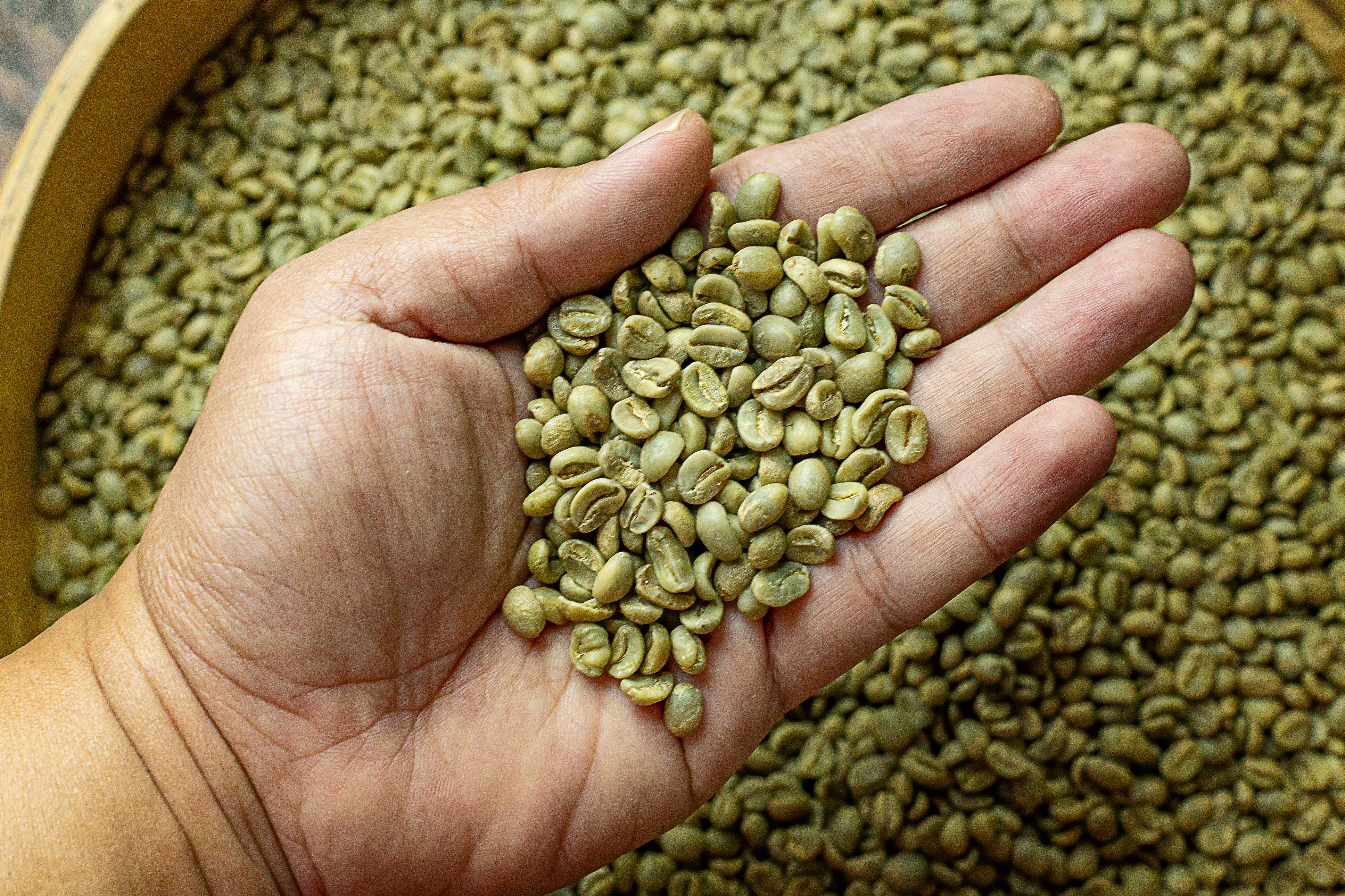 Green Coffee Bean Extract